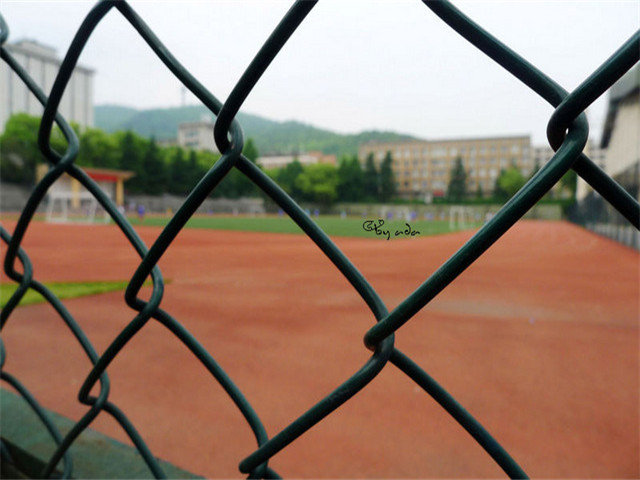 田徑場(chǎng)圍網(wǎng) 田徑場(chǎng)圍網(wǎng)